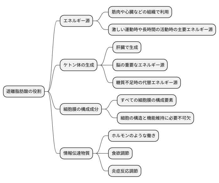 遊離脂肪酸の働き