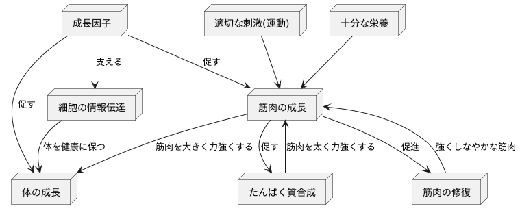 成長因子の働き