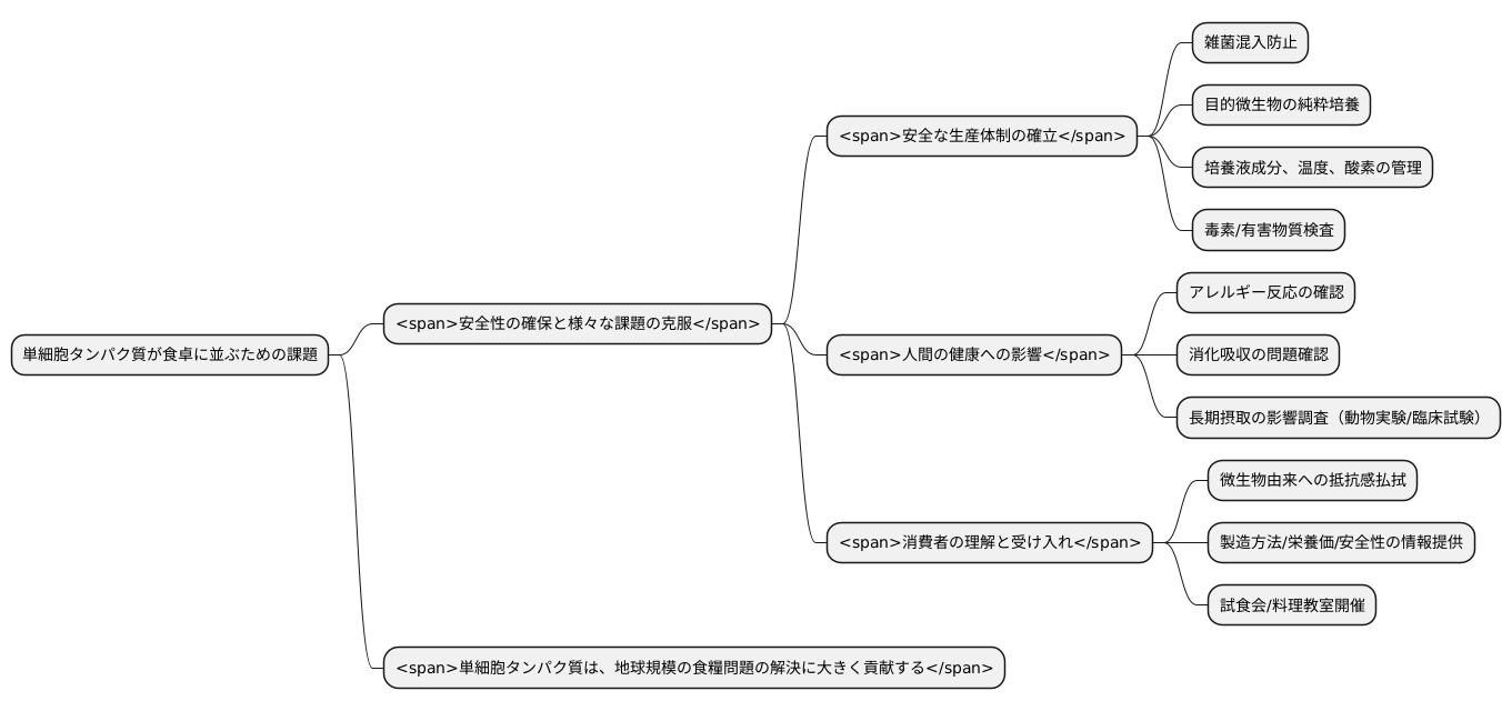 安全性と課題