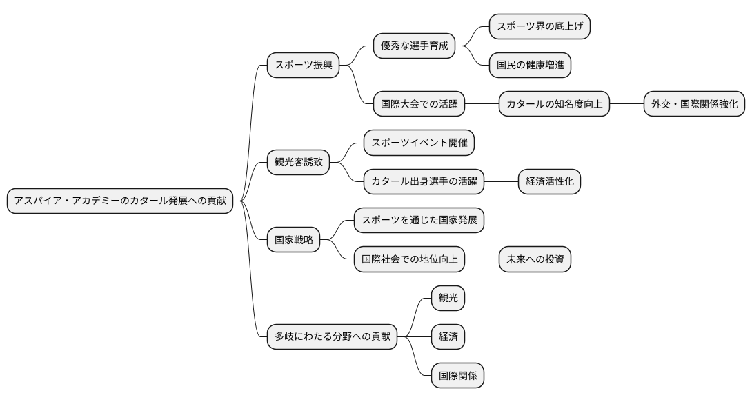 カタールの発展への貢献