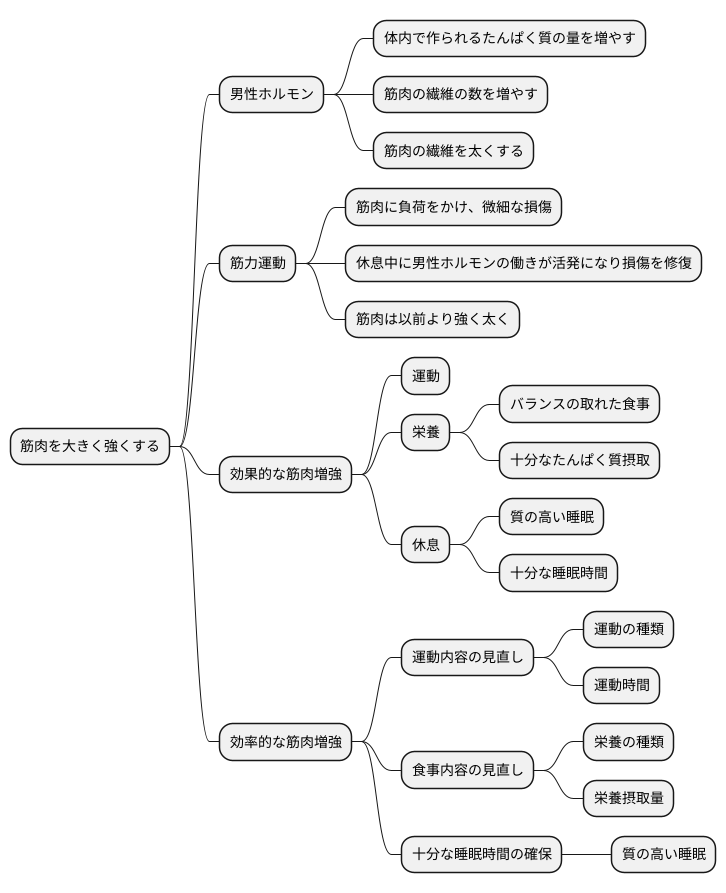 筋肉増強への作用