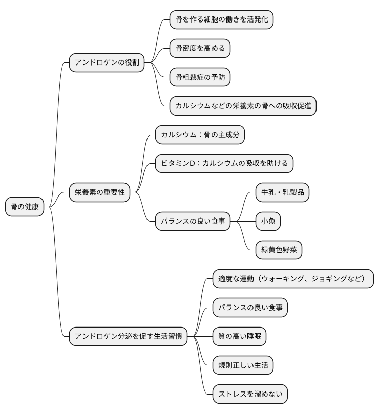 骨の健康との関わり