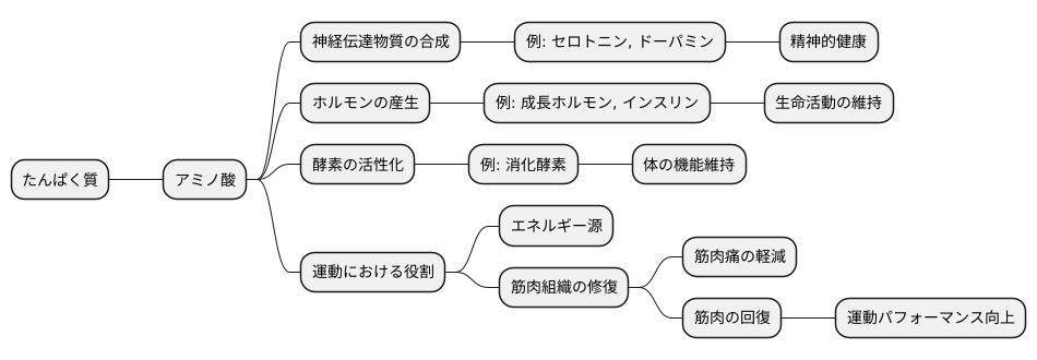 アミノ酸の働き