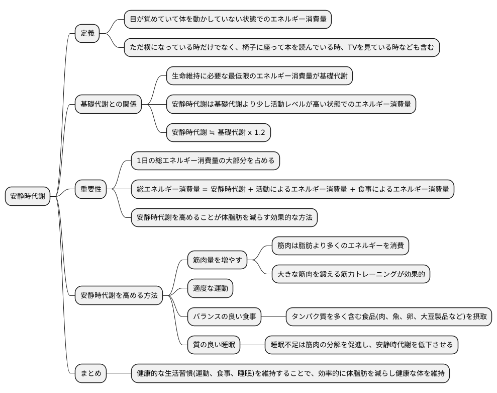 安静時代謝とは