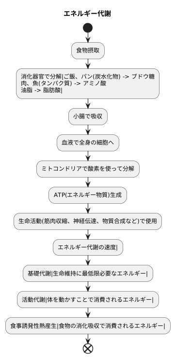 エネルギー代謝とは