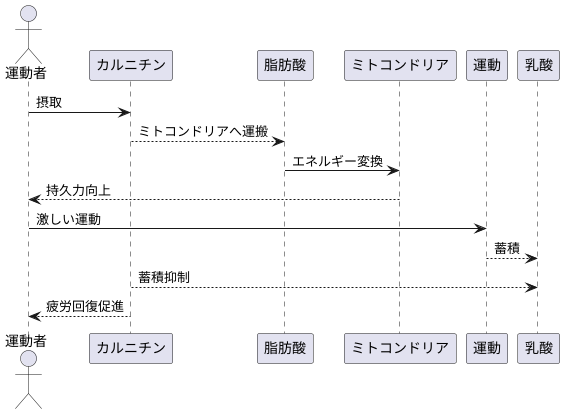 持久力向上効果