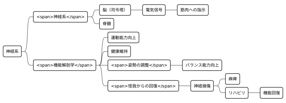 神経系の役割