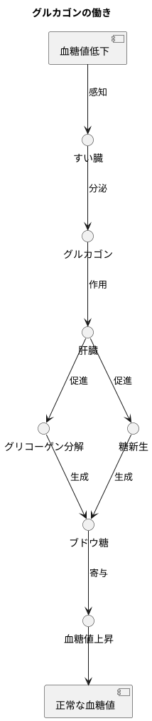 グルカゴンの働き