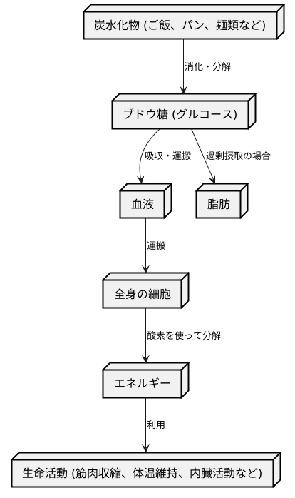 活動の源になる物質
