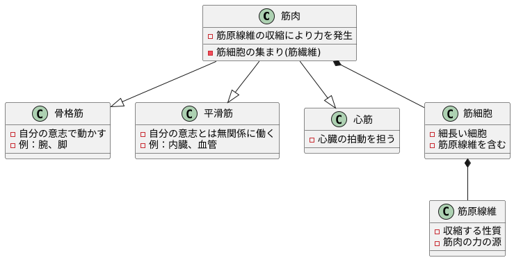 筋肉の仕組み