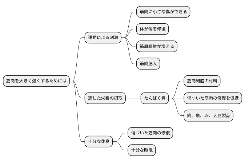 成長の仕組み