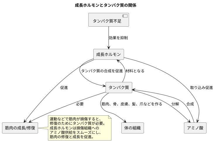 成長ホルモンとタンパク質の関係