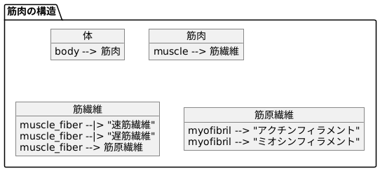 筋肉を構成するもの