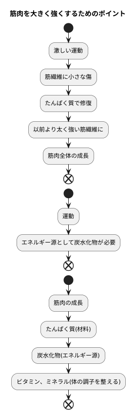 筋繊維と栄養