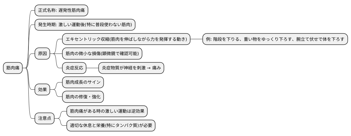 筋肉痛との関係