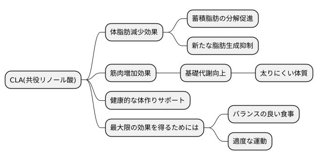 体脂肪減少への期待