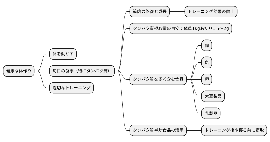 タンパク質摂取の重要性