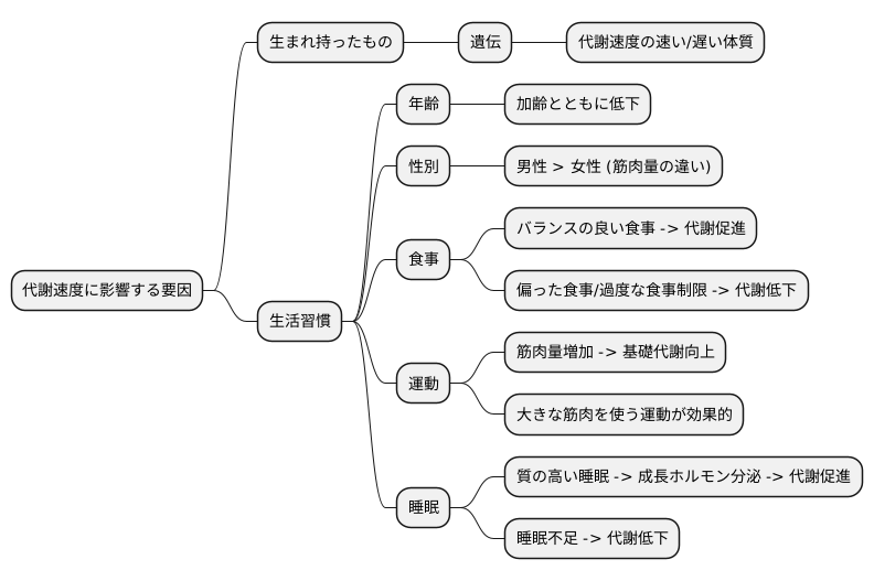 代謝の速度に影響する要因