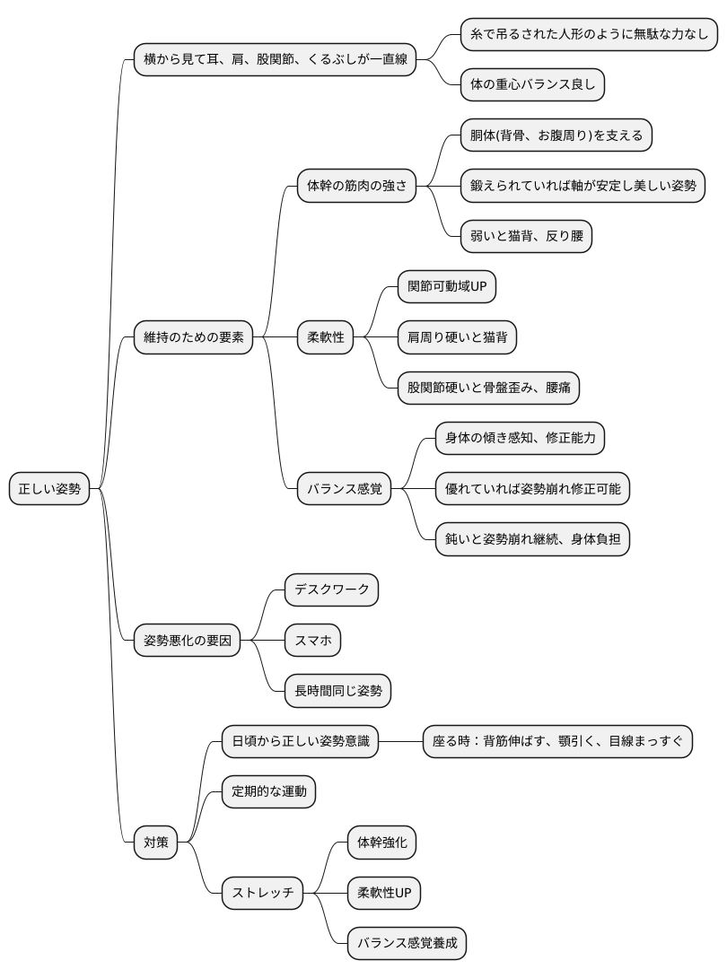 正しい姿勢とは