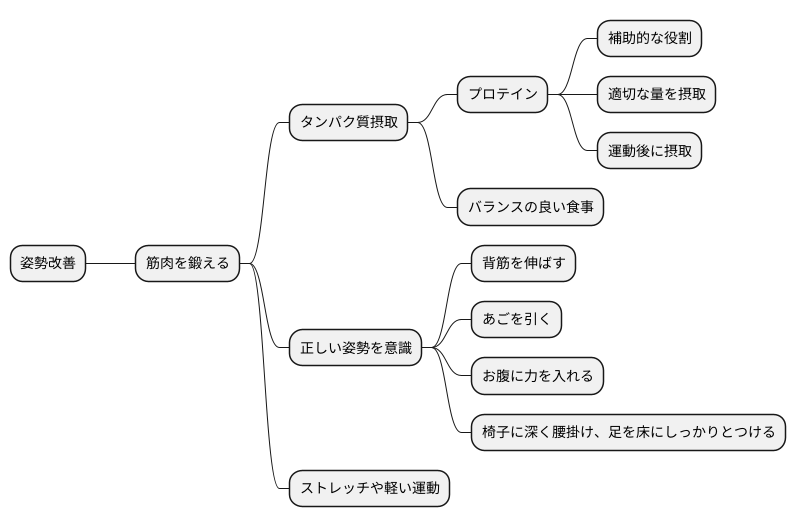 プロテインと姿勢改善の関係