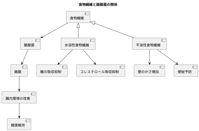 食物繊維との関係