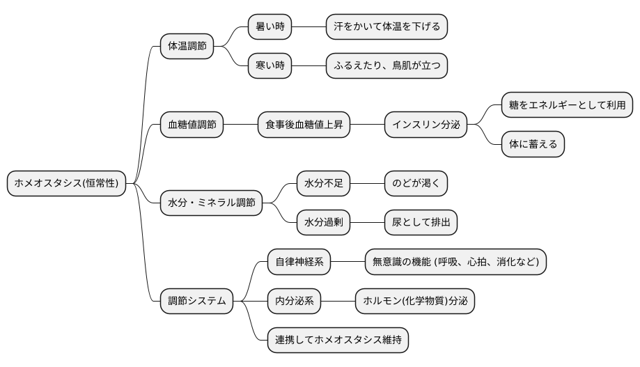 ホメオスタシスの働き