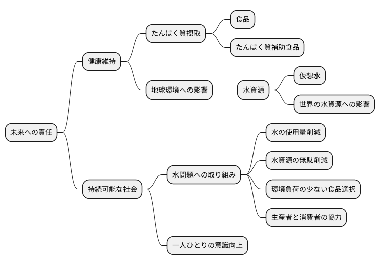 未来への責任