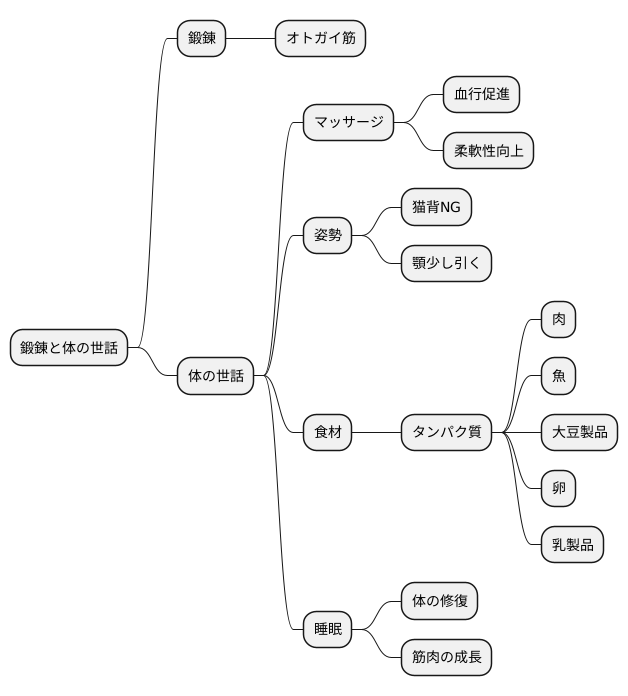 トレーニングと併せて行いたいケア