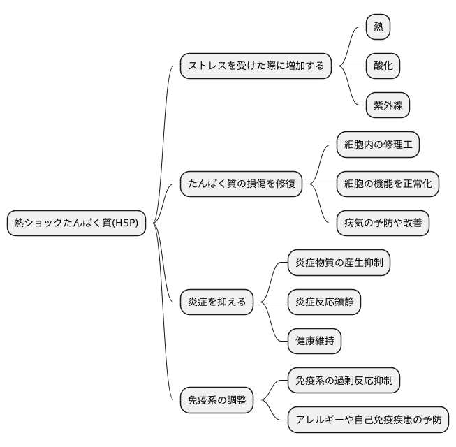 熱ショックたんぱく質の働き