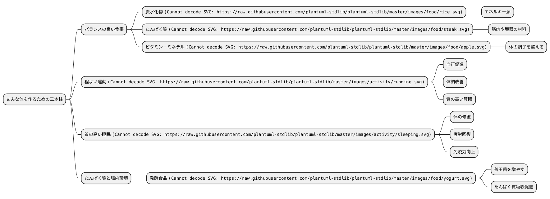 健康的な体作り