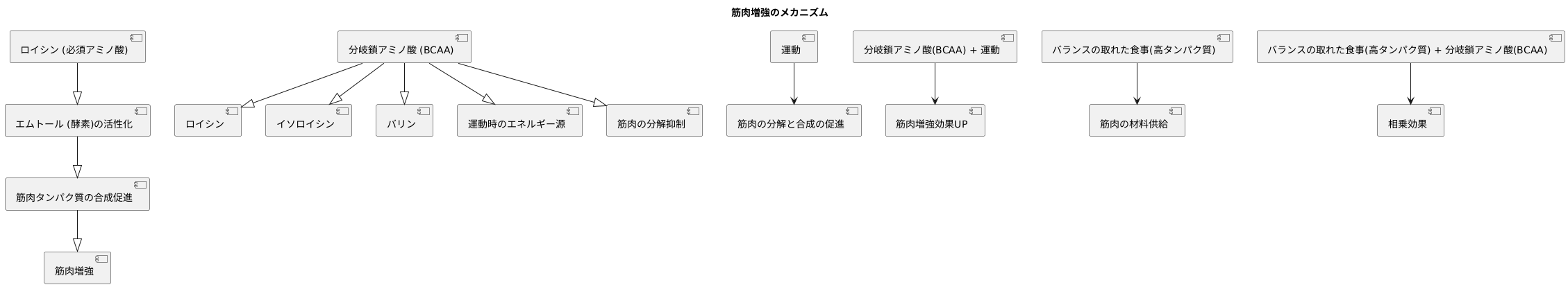 筋肉の合成促進