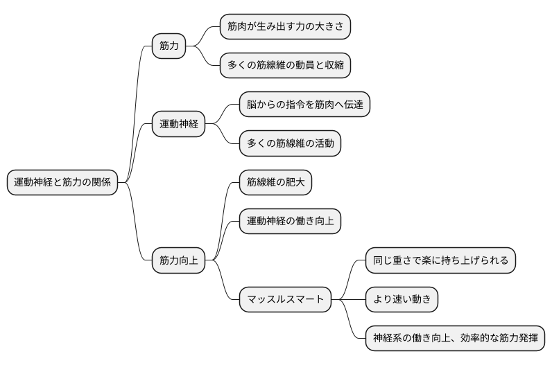 運動神経と筋力