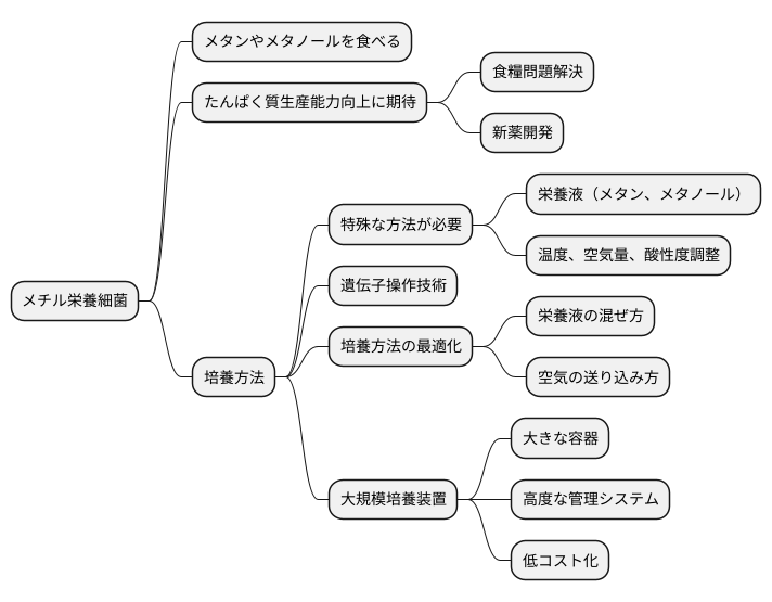 メチル栄養細菌の培養方法