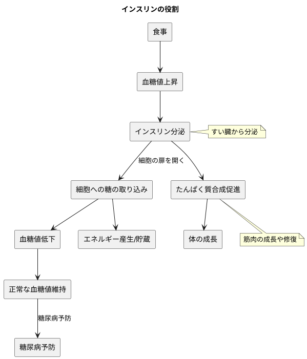 インスリンの役割