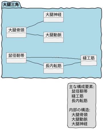 大腿三角との関係