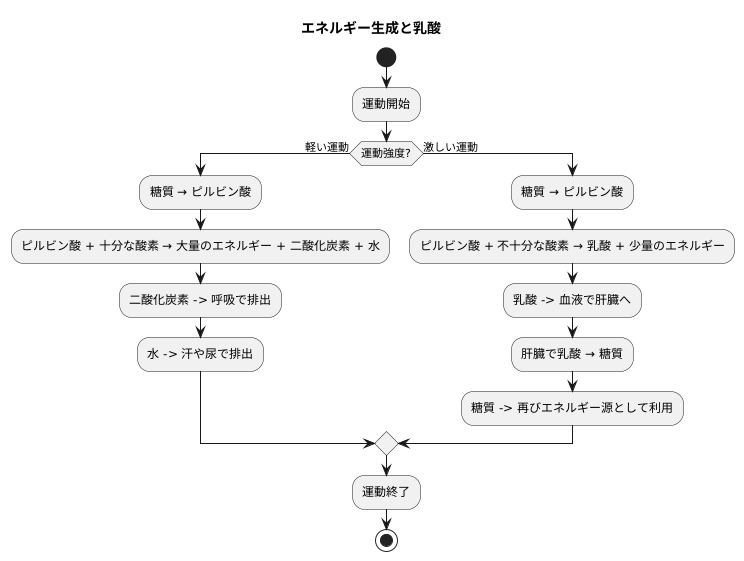 乳酸ができる仕組み