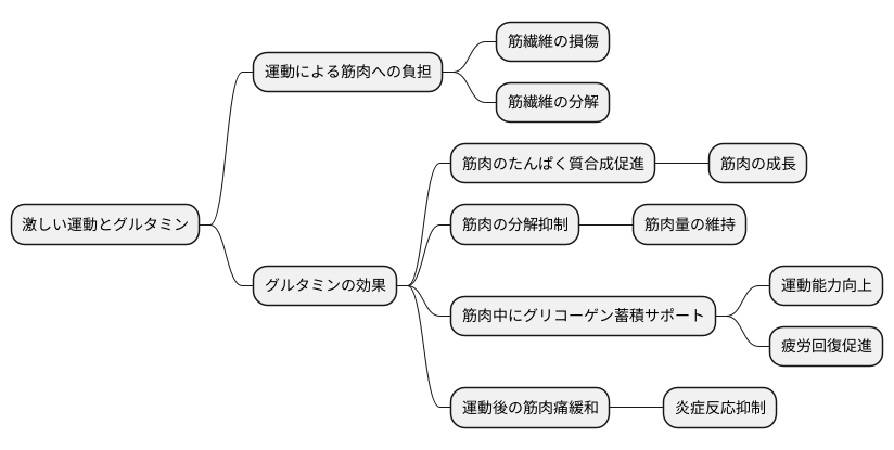 筋肉への影響